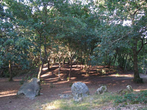 Dolmen de Kercado